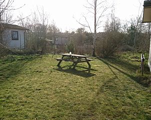 Unterkunft 0108301 - Chalet Texel - Akkerveld 27