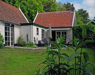 Gezellige buitenruimte van vakantiehuis Het Rge Landje in Dennenbos, Texel, met groene omgeving.