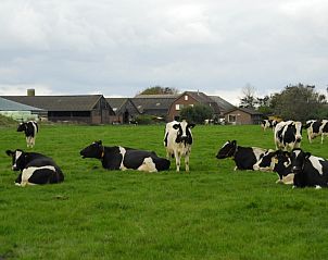 Unterkunft 011210 - Ferienhaus Texel - 3980 Boerderij Leiden