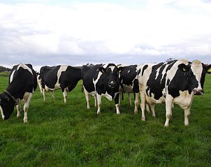 Unterkunft 011227 - Ferienhaus Texel - 3901 Boerderij Leiden