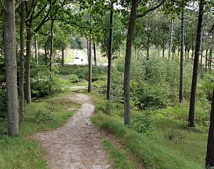 Bosrijke omgeving nabij De Strandloper bungalow, De Koog, Texel.