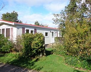 Gemtliches Ferienhaus Vakantiepark de Bremakker Bosveld 104 in der natrlichen Umgebung von De Dennen, Texel.