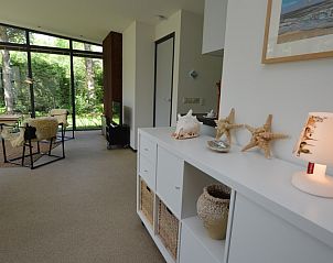 Stijlvolle binnenruimte in Vakantiehuis 't Hoogelandt 202 - Aan Zee, De Dennen, Texel met decoratieve accenten.