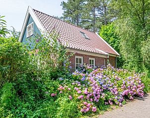 Rustikaler Charme von 't Mienthuis - De Prins, Ferienhaus in De Dennen, Texel, mit bunten Blumen und grner Umgebung.