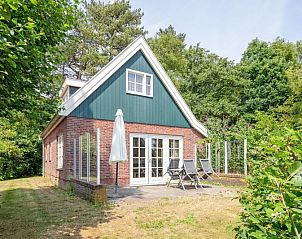 Sonnige Terrasse bei 't Mienthuis - De Prins, Ferienhaus in De Dennen, Texel, mit bequemen Sthlen und grner Natur.