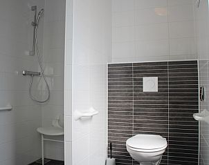Villetta disabled bathroom with shower and toilet, accessible on Texel.