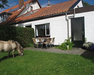 Swalefie vakantiehuis met terras en pony in De Dennen, Texel, Waddeneilanden.