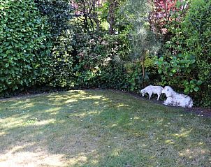 Guest house 0113225 - Holiday property Texel - Vakantiehuis Gortersmient 276