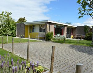 Bungalow Verste Coogh 62 in De Dennen, Texel met bloeiende lavendel en zonnige tuin.