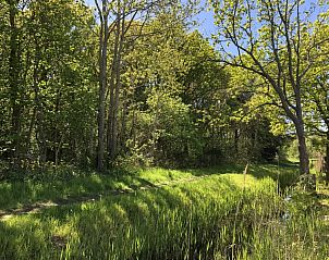 Verblijf 0113246 - Vakantiewoning Texel - Vakantiepark de Bremakker - Bosveld 103