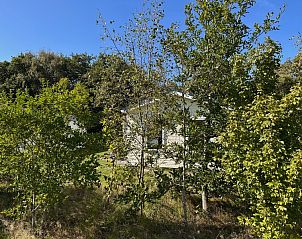 Guest house 0113257 - Holiday property Texel - Vakantiepark de Bremakker - Akkerveld 21