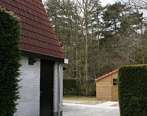 Seitenansicht des von grnen Hecken umgebenen Ferienhauses Gortersmient 354 in De Dennen Texel.