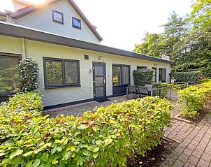 Unterkunft 011332 - Ferienhaus Texel - Appartement Bos en Duin 05