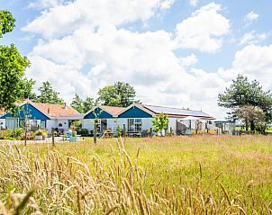 Boszicht vacation home in De Dennen, Texel with wide views and green surroundings.