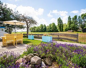 Cozy garden at Boszicht vacation home in De Dennen, Texel with lavender and nature views.