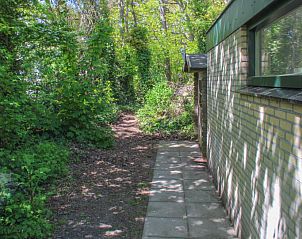 Schattiger Weg am Bollenveld - das Tulip-Ferienhaus in De Dennen, Texel, inmitten der Natur.