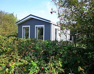Vakantiepark de Bremakker, Texel: Cozy vacation home in De Dennen surrounded by green nature.