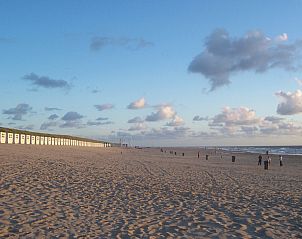 Guest house 011503 - Holiday property Texel - Florijn 1