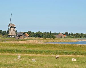 Unterkunft 011504 - Ferienhaus Texel - Florijn 3