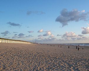 Verblijf 011505 - Vakantiewoning Texel - Florijn 4