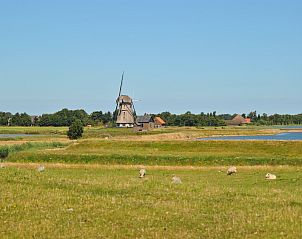 Verblijf 011505 - Vakantiewoning Texel - Florijn 4