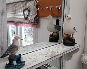 Guest house 020116 - Tent house Vlieland - De Hagedis