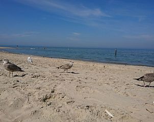 Guest house 020116 - Tent house Vlieland - De Hagedis