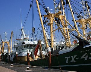 Verblijf 020124 - Bed and breakfast Texel - B&B De Sering Texel