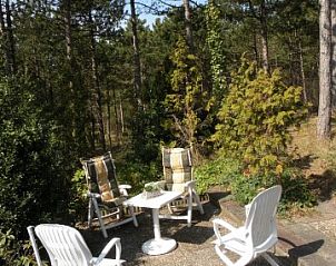 Guest house 020127 - Holiday property Vlieland - Studio Arma