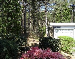 Guest house 020127 - Holiday property Vlieland - Studio Arma