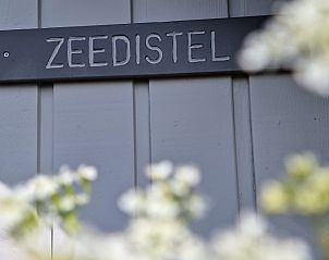 Unterkunft 020138 - Ferienhaus Terschelling - Zeedistel