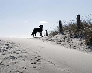 Verblijf 020204 - Vakantie appartement Vlieland - Loods Hotel Vlieland
