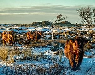 Verblijf 020204 - Vakantie appartement Vlieland - Loods Hotel Vlieland