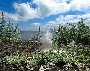 Verblijf 020208 - Vakantie appartement Vlieland - Hotelletje de Veerman