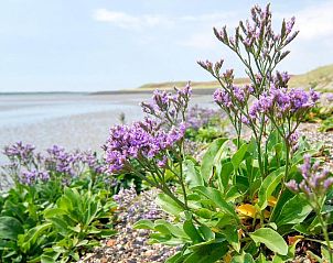 Verblijf 020208 - Vakantie appartement Vlieland - Hotelletje de Veerman