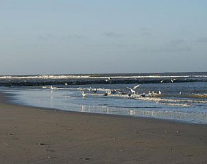 Verblijf 020210 - Vakantie appartement Vlieland - De Herbergh van Flielant