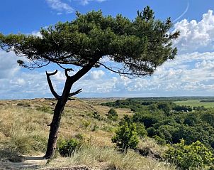 Pittoresk landschap met boom nabij Huisje in Formerum Terschelling, een natuurlijke schoonheid op de Waddeneilanden.