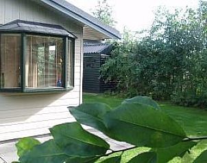 Groene omgeving van De Mons chalet, Formerum, Terschelling met weelderige natuur op de Waddeneilanden.