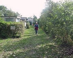 Pad naar De Mons chalet, Formerum, Terschelling omgeven door natuur op de Waddeneilanden.