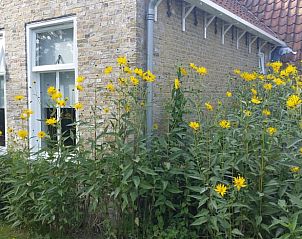 Sunny garden with yellow flowers at Holiday home in Formerum Terschelling.