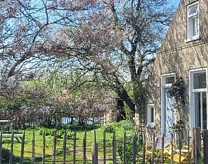 Spring view of Holiday home in Formerum Terschelling with blossoming trees.