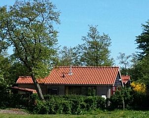 Rustig gelegen vakantiehuis De Trekvogels in Formerum, Terschelling omgeven door groen.