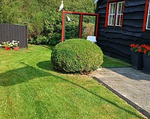Groene tuin bij De Trekvogels, vakantiehuis in Formerum, Terschelling met zonnig gazon.