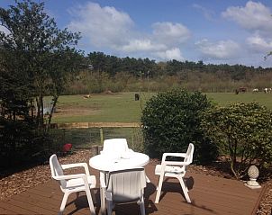 Uitzicht op weiland vanaf het terras van De Trekvogels, vakantiehuis in Formerum, Terschelling.