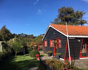 Zonnige dag bij vakantiehuis De Trekvogels in Formerum, Terschelling met kleurrijke tuin.