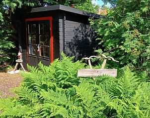 Knus tuinhuisje bij De Trekvogels, vakantiehuis in Formerum, Terschelling omringd door groen.