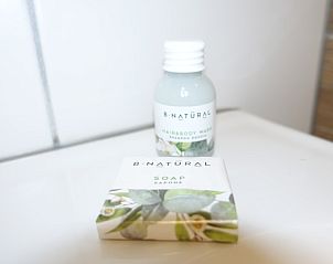 Badkamerartikelen in Noorderlicht vakantiehuis, Formerum, Terschelling voor extra comfort.