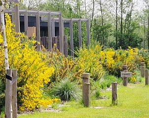 Prachtige bloeiende struiken bij ZONICE chalet in Formerum, Terschelling voor een natuurlijke sfeer.