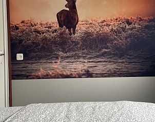 Unterkunft 030259 - Chalet Terschelling - Klaver Vier