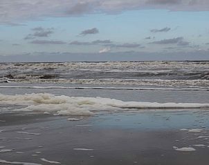 Unterkunft 030322 - Chalet Terschelling - Zeeschuimer